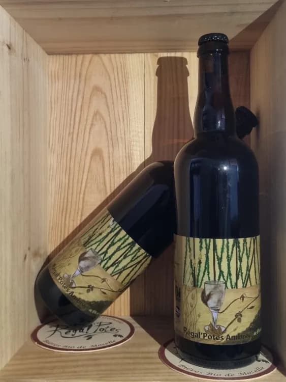 Bière BIO ambrée 