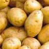 Légume BIO / Pommes de terre 