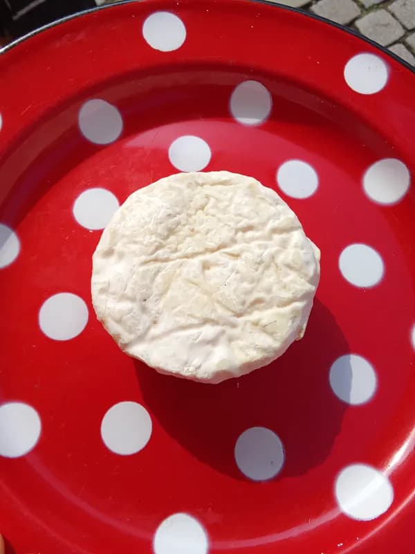 Chèvre camembert 90g