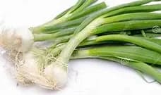 Légume BIO  / Oignons tige