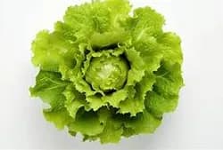 Légume BIO / salade