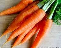 Légume BIO / carottes