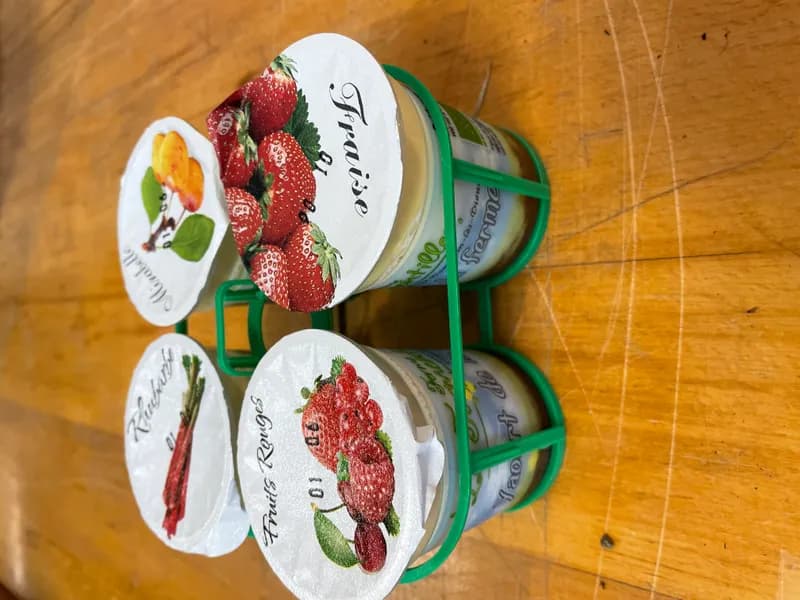 Yaourt bio au coulis de fruits Panier 4x125g
