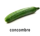 Légumes BIO cocombre
