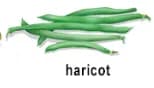 Légumes BIO haricots verts