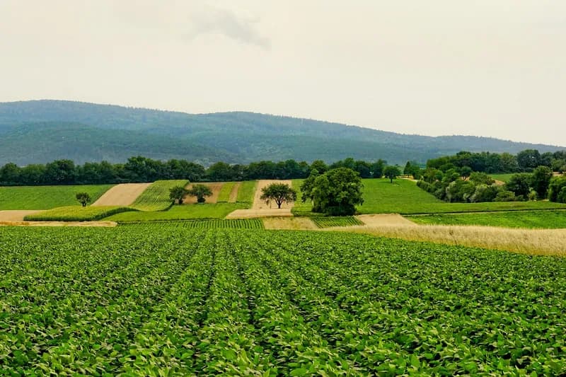 Paysage rural lorrain — terroir des producteurs Vervillages
