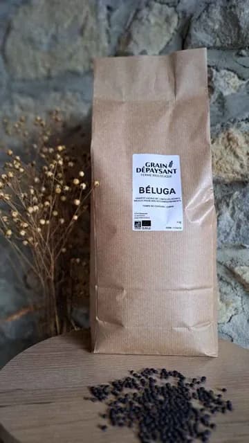 Lentilles bio beluga